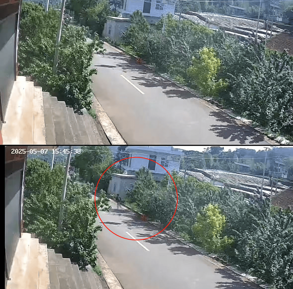 皇冠信用账号申请
_老人摘十斤樱桃摆路边被人顺走皇冠信用账号申请
，家属发布监控画面曝光：已报警，不要赔偿要态度