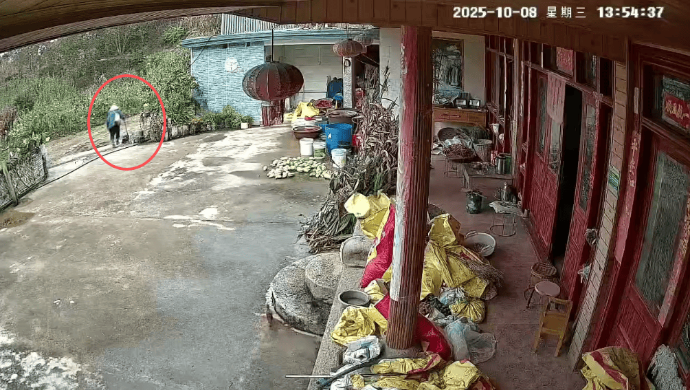 皇冠登3新2管理
_93岁老人进山失联皇冠登3新2管理
，两天后发现他倒挂在树杈上苦撑……