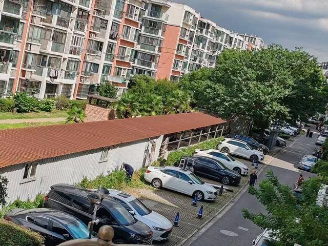 皇冠信用盘哪里申请
_上海居民投诉后傻眼：只拆了一半！小区绿化被大量铁皮房霸占皇冠信用盘哪里申请
，还有人住？居民直指小区公共收益疑云