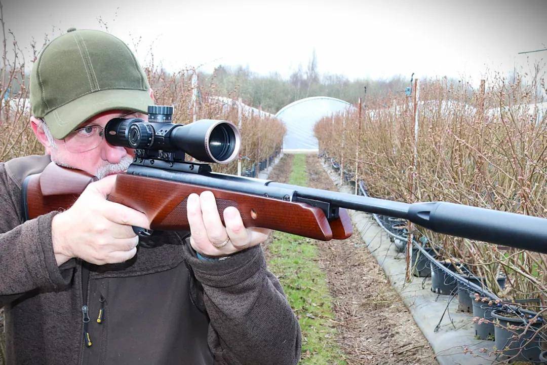 世界杯信用网正网
_头部中弹!近日安徽18岁男孩深夜遭遇枪击世界杯信用网正网
,枪是从哪来的?