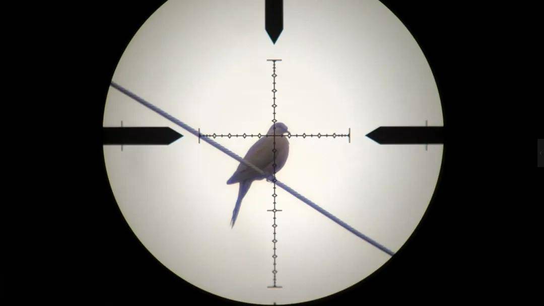 世界杯信用网正网
_头部中弹!近日安徽18岁男孩深夜遭遇枪击世界杯信用网正网
,枪是从哪来的?