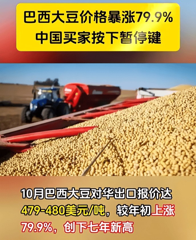 足球信用盘哪里有
_反制升级了！巴西大豆被中国停购后足球信用盘哪里有
，转身就对中企下狠手，中方亮明态度