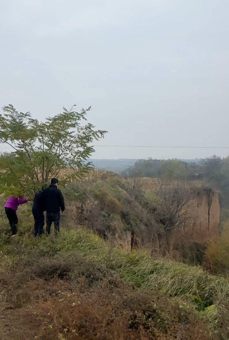 皇冠信用盘在线申请
_陕西咸阳一男子打晕妻子误以为已死皇冠信用盘在线申请
,将人扔下土崖致其死亡被公诉
