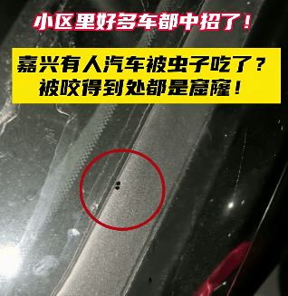 皇冠会员如何申请
_汽车被虫子啃得都是窟窿皇冠会员如何申请
,“一边咬一边往里钻”!很多人中招