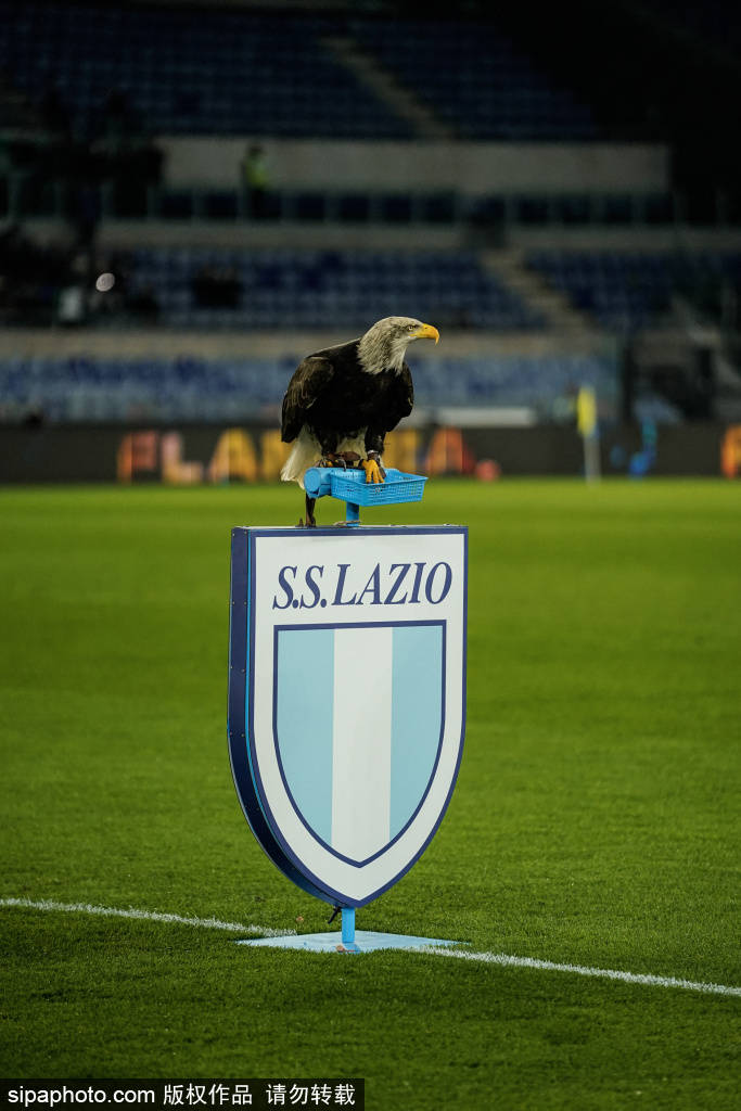 布鲁克林篮网 vs 夏洛特黄蜂
_法比奥双响助力国安布鲁克林篮网 vs 夏洛特黄蜂
，2-0击败河南进军足协杯决赛！