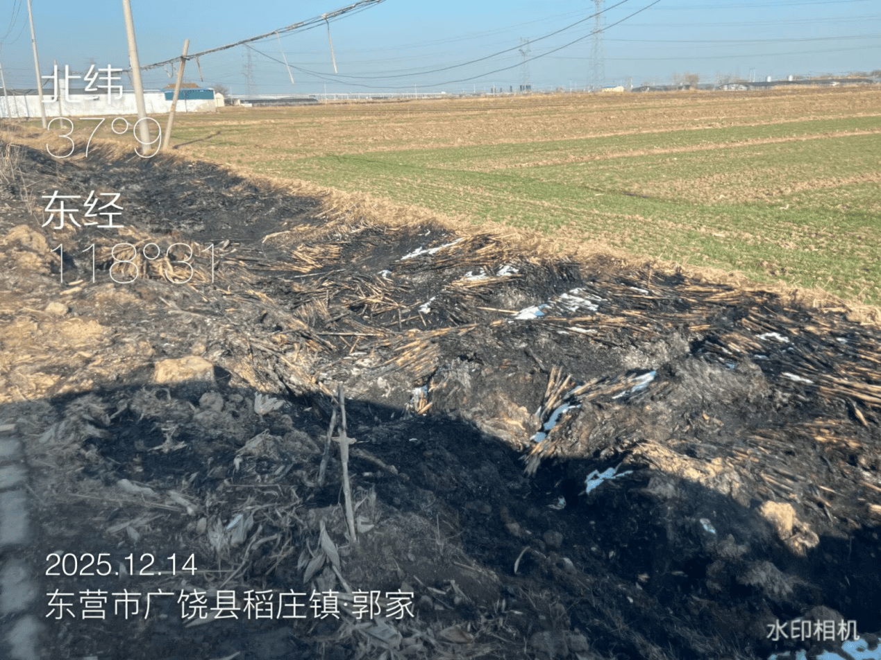 意大利乙组联赛_广饶县：农村人居环境亟待提升