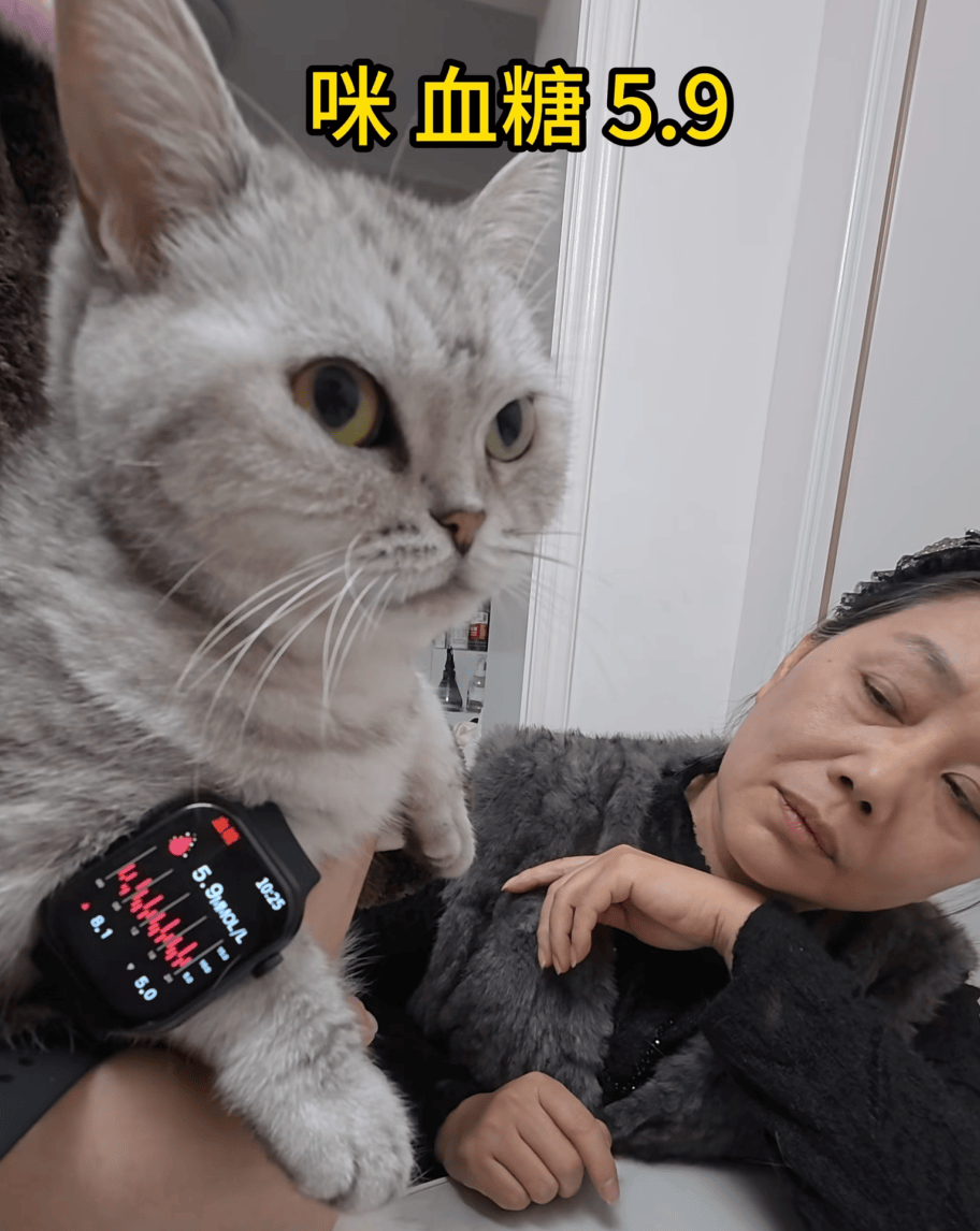 阿森纳vs利兹联
_父母花84元网购“神奇手表”阿森纳vs利兹联
,儿子发现能测万物:猫咪血糖5.9,吸尘器血糖7.4,父母:下次不买了