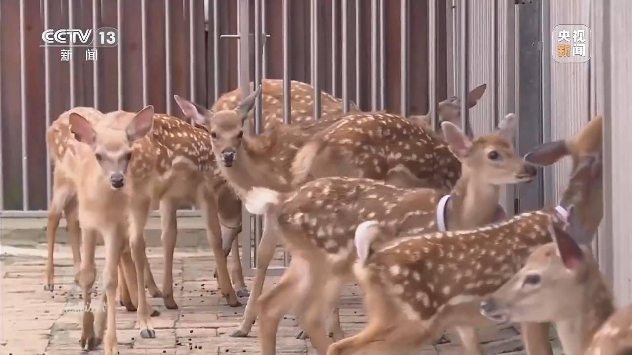 皇冠hga010开户_年入三四亿举债七亿建项目 独家调查吉林东丰“政绩工程”