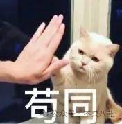 皇冠信用网平台出租_要结婚了皇冠信用网平台出租？恋情居然瞒了整整六年......