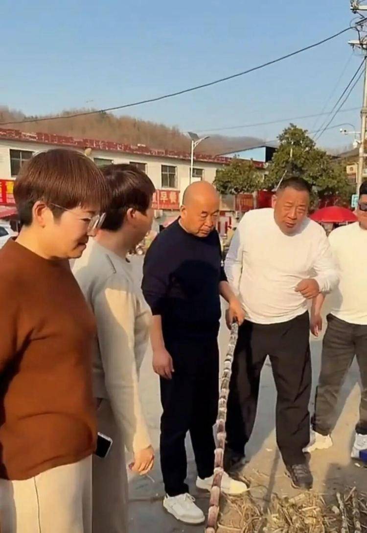 如何代理皇冠信用网_于东来退休后在家卖甘蔗如何代理皇冠信用网?辟谣:实为途经南阳时买甘蔗