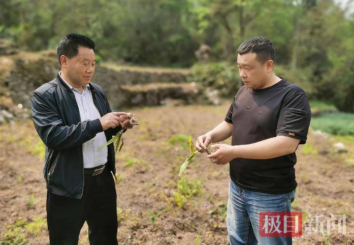 皇冠信用网登1,登2,登3出租_放弃几十万年收入返乡皇冠信用网登1,登2,登3出租,“倒贴钱”买车作公用,53岁“吉普书记”突然离世,200余民众自发送别