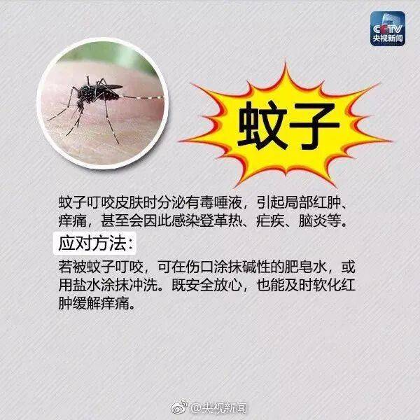 皇冠信用网登3_网友炸锅皇冠信用网登3！广东多个公园、绿化带中出现！深圳疾控紧急提醒：远离这种小土堆