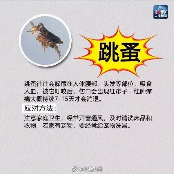皇冠信用网登3_网友炸锅皇冠信用网登3！广东多个公园、绿化带中出现！深圳疾控紧急提醒：远离这种小土堆