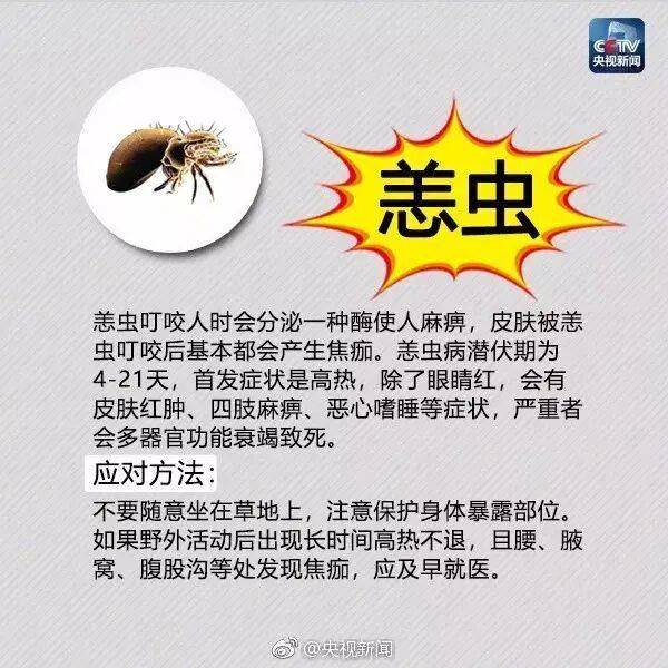 皇冠信用网登3_网友炸锅皇冠信用网登3！广东多个公园、绿化带中出现！深圳疾控紧急提醒：远离这种小土堆