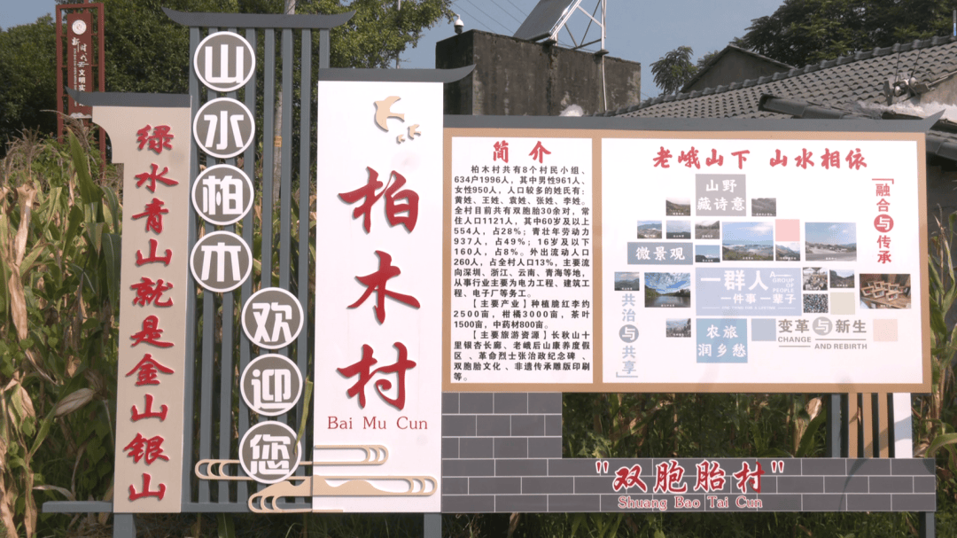 皇冠登2代理_四川眉山一小村落有33对双胞胎皇冠登2代理，发生率高达5%左右，专家回应“双胞胎村”成因：遗传因素可能性最大，土壤含硒、特殊水源等无直接依据